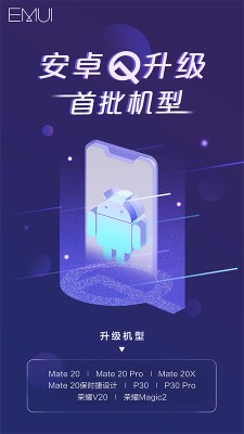 Huawei Mate 20 Pro выбыл из числа участников программы Android Q Beta