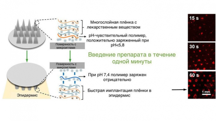 8e353e1390f431bd74fd527507487063