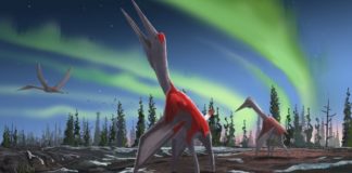 Холодный дракон северных ветров: изучены останки одного из крупнейших летающих существ