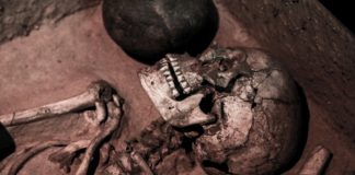 Танцы мертвецов: тело продолжает двигаться даже через полтора года после смерти