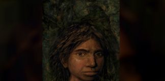 Внешность денисовского человека восстановили по ДНК