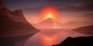 Учёные обнаружили новое массовое вымирание