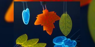 Искусственный лист впервые “изготовил” лекарства при помощи солнечного света