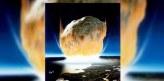 “Ад на местном уровне”: учёные подробно описали первый день вымирания динозавров