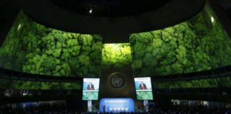 Зеленые игры: фирмы, выпускающие видеоигры, дают климатические обещания в ООН zelenie_igry