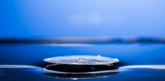 Непотопляемый металл позаимствовал свойства у пауков и муравьёв