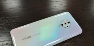 Vivo V17 с квадратной основной камерой позирует на фото