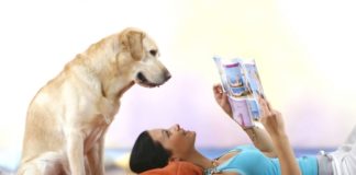 “Кто тут умный мальчик?”: собаки понимают даже тонкие различия в словах