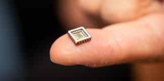 Впервые созданы искусственные нейроны, способные заменить живые